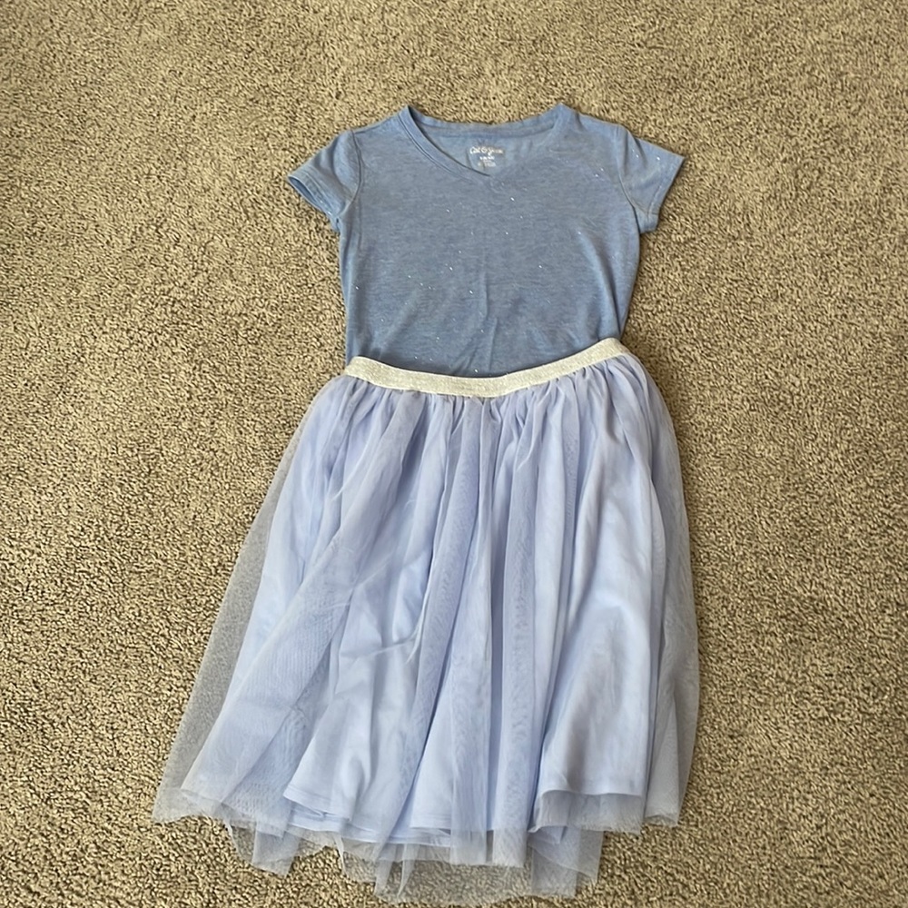 Gymboree blueish- light purple skirt. Tulle overlay. Cat and jack sparky top.
